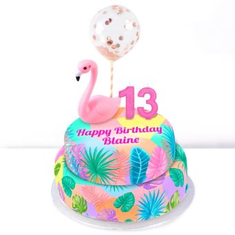 13th Birthday Flamingo Cake