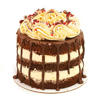 Black Forest Bento Cake