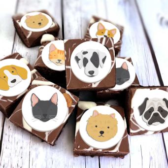 Limited Edition Cats and Dogs Brownies
