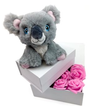 Mum Koala Teddy Set