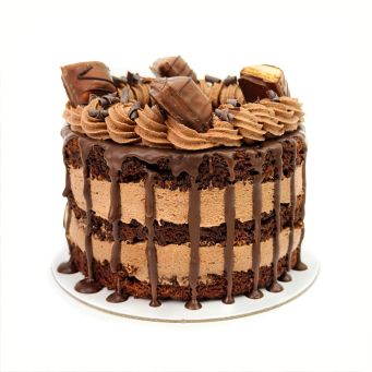 Ultimate Chocolate Bento Cake